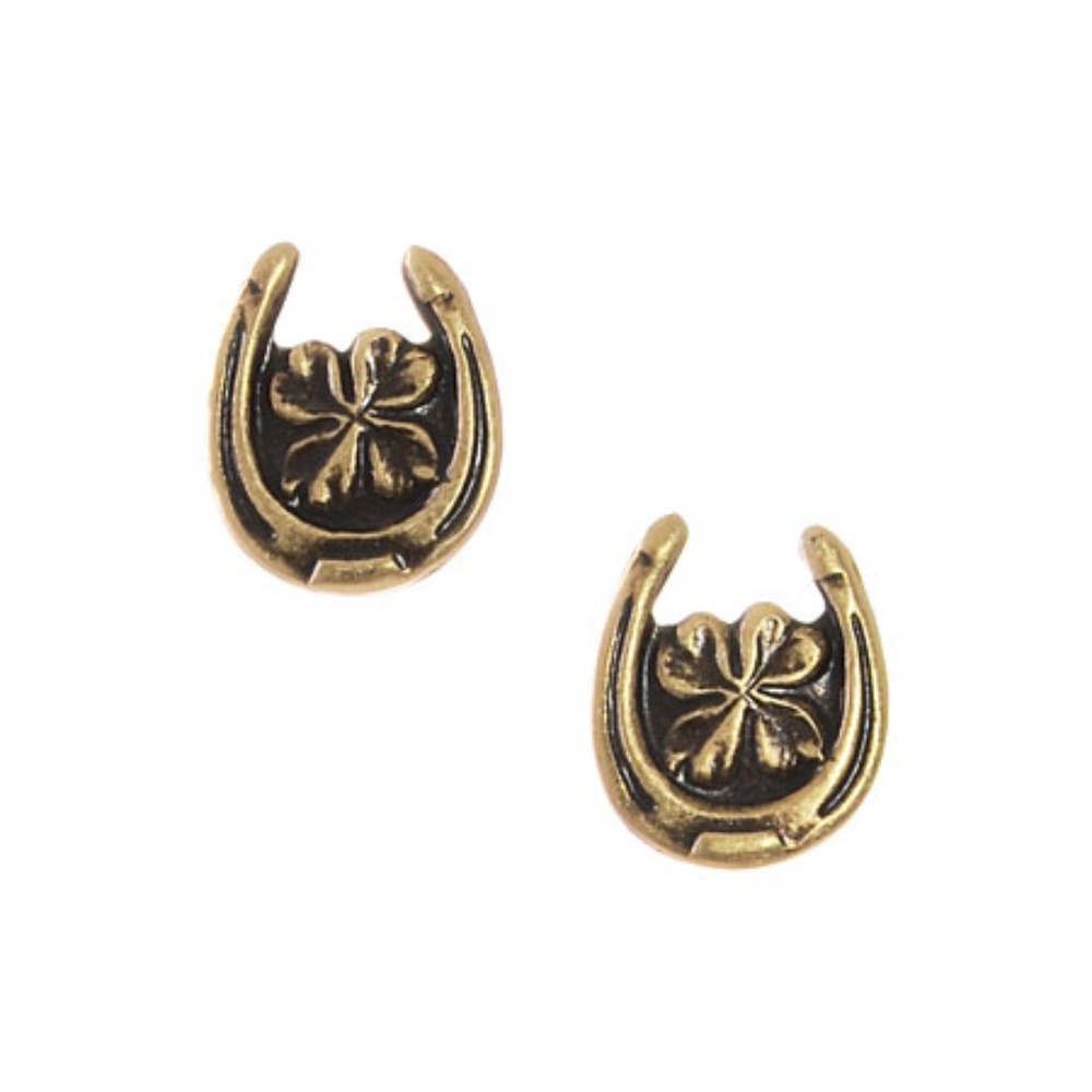 NEW Lucky Charm Earrings in Brass Horse Shoe